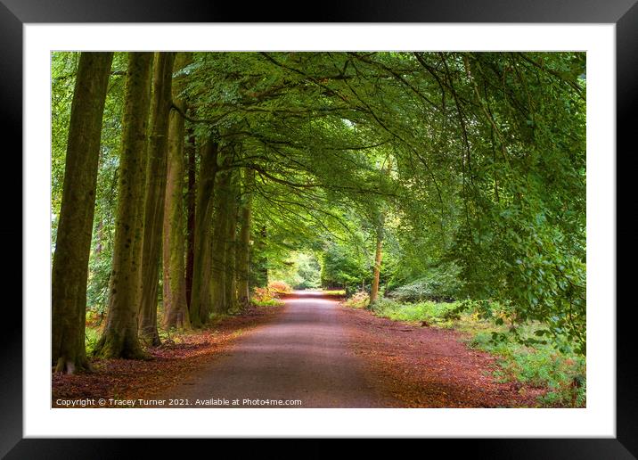 The Enchanting Pathway Framed Mounted Print by Tracey Turner