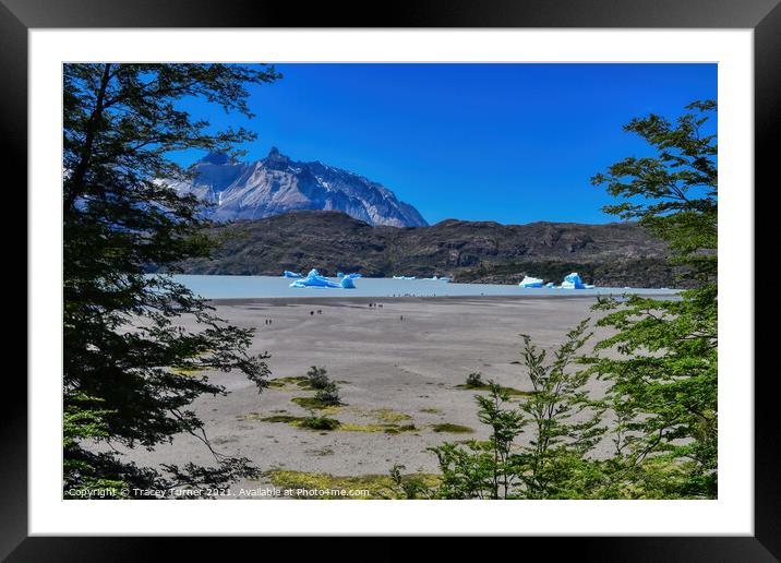 'View to Lake Grey' - Glacial lake in Patagonia, C Framed Mounted Print by Tracey Turner