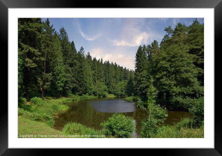 Soudley Ponds in the Forest of Dean Framed Mounted Print by Tracey Turner
