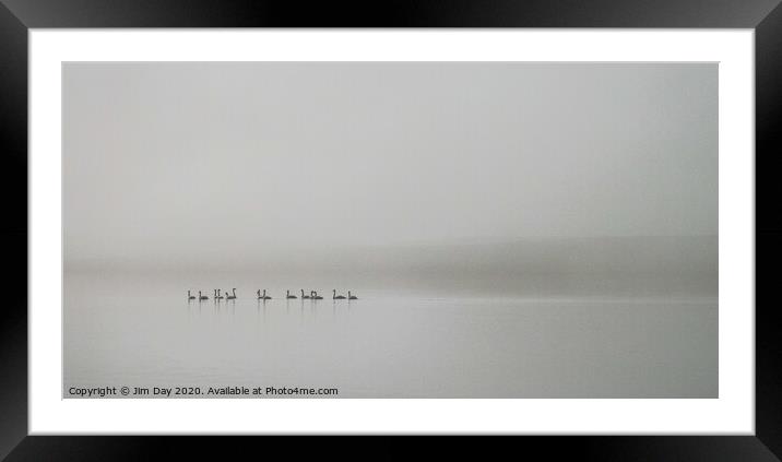 Swans in the mist Framed Mounted Print by Jim Day