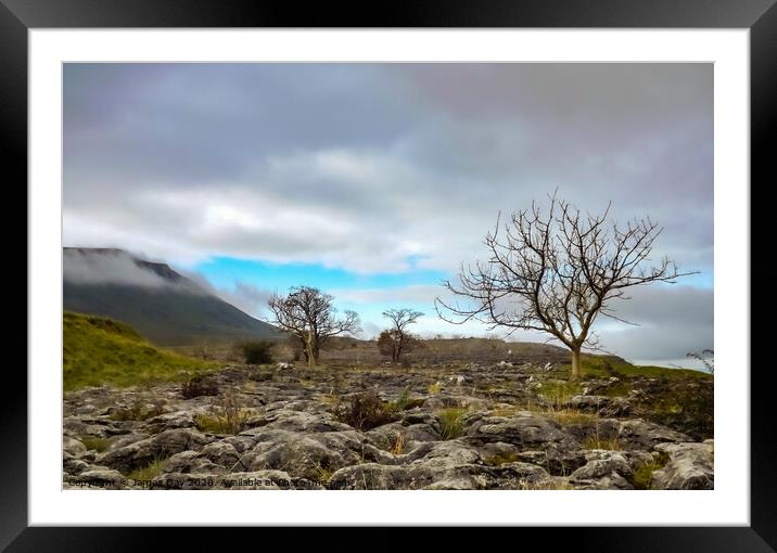 Limestone Pavement Trees Framed Mounted Print by Jim Day
