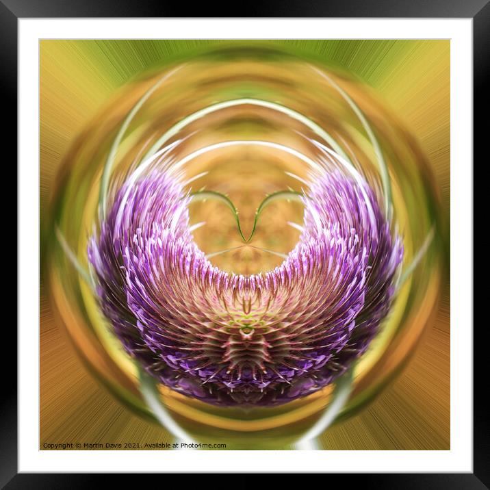Abstract Teasel Framed Mounted Print by Martin Davis