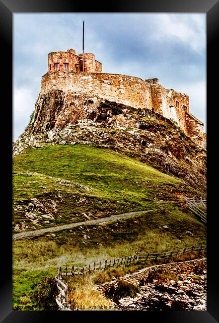 Lindesfarne Castle Framed Print by Martin Davis