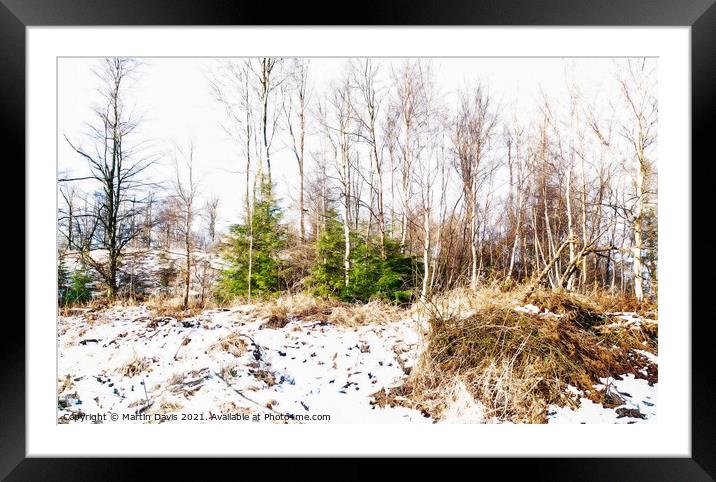 Woods in Winter Framed Mounted Print by Martin Davis