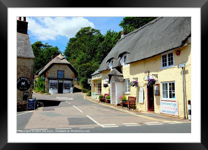 Vlliage thatch at Godshill on the Isle of Wight, UK. Framed Mounted Print by john hill