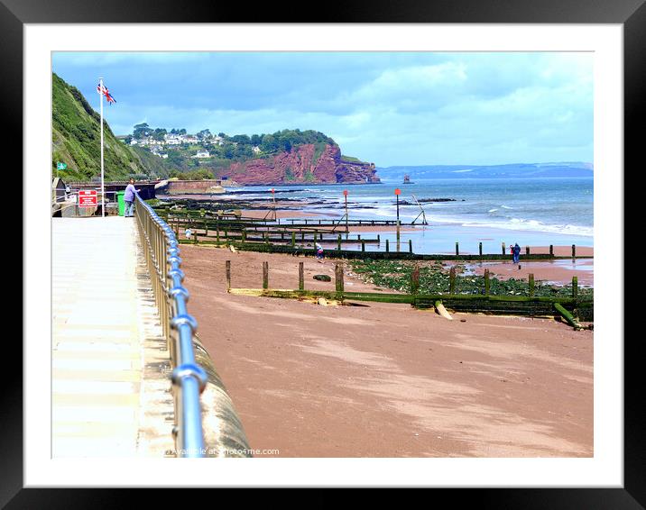 Beach and Groynes at Teignmouth in Devon. Framed Mounted Print by john hill