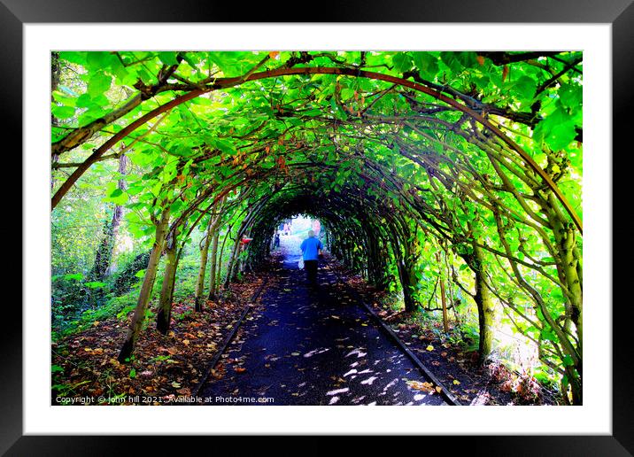 Tree Tunnel. Framed Mounted Print by john hill