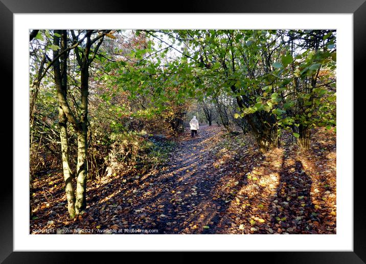 Autumn woodland Walk, Derbyshire, UK. Framed Mounted Print by john hill