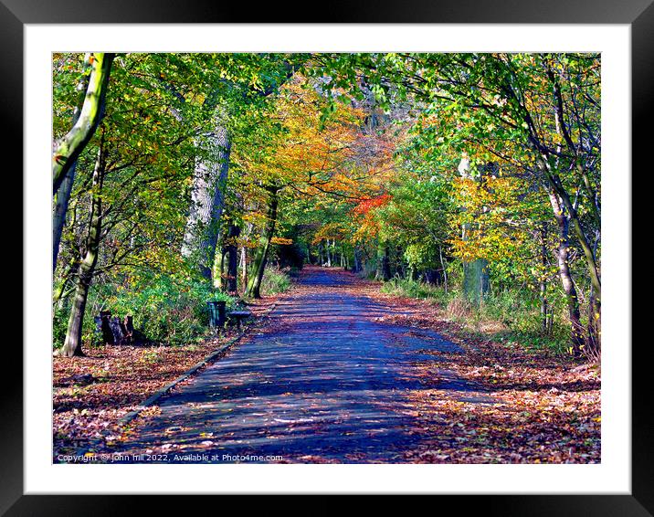 Autumn Avenue. Framed Mounted Print by john hill