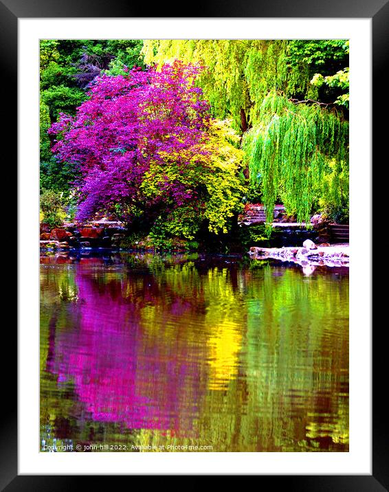 Colorful reflections of nature. Framed Mounted Print by john hill