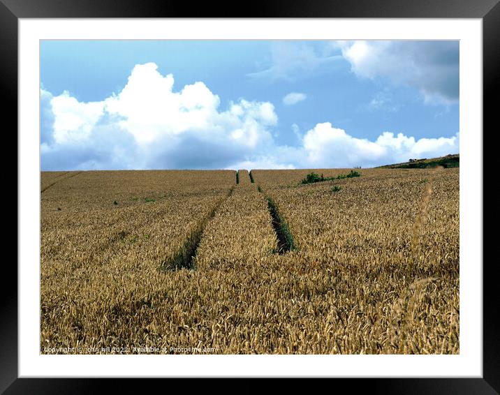 Wheat Field with tractor tracks. Framed Mounted Print by john hill