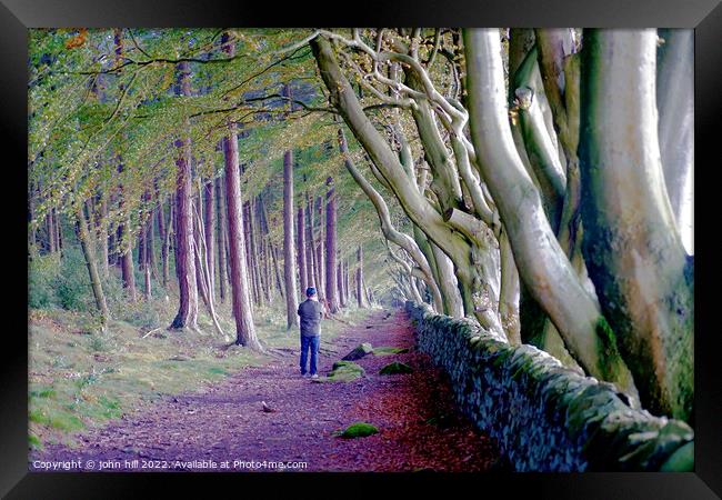 Beech trees, Upper moor,Matlock, Derbyshire  Framed Print by john hill