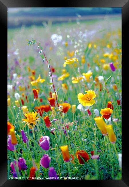 Wild flower field, Derbyshire Framed Print by john hill