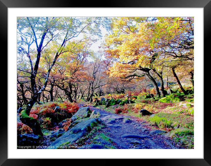 Padley gorge, Derbyshire. Framed Mounted Print by john hill