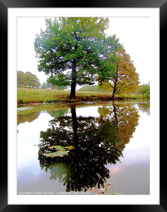 Reflections in Autumn Framed Mounted Print by john hill