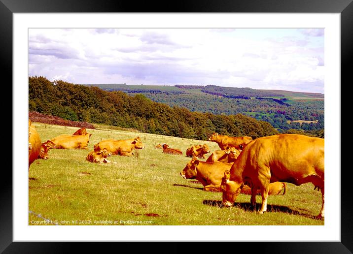 Serenity in the Derbyshire Hills Framed Mounted Print by john hill