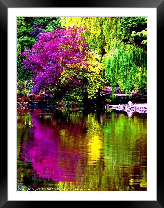 Colorful reflections of nature. Framed Mounted Print by john hill
