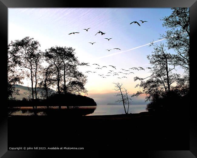 Dawn flight. Framed Print by john hill