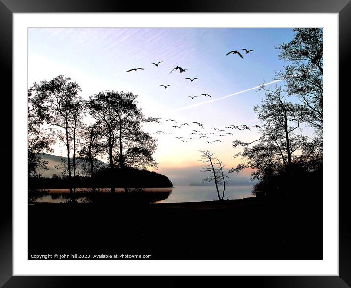 Dawn flight. Framed Mounted Print by john hill
