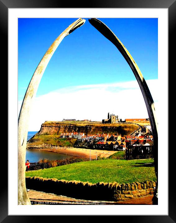 Whitby, Yorkshire. Framed Mounted Print by john hill