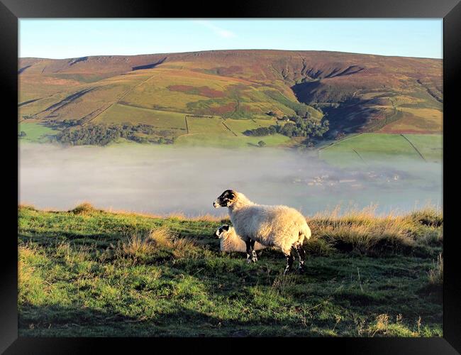 Morning mist at Edale valley. Framed Print by john hill