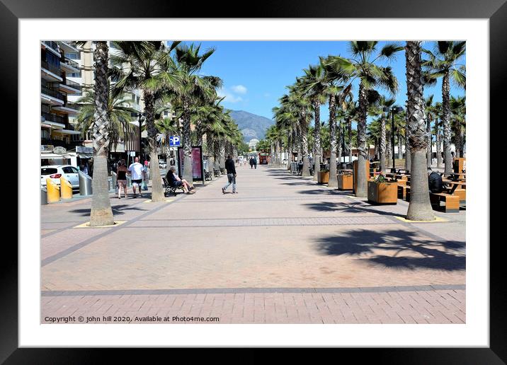 Palm tree colonnade at Fuengirola Spain. Framed Mounted Print by john hill