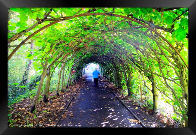 Tree Tunnel at Christchurch in Dorset. Framed Print by john hill