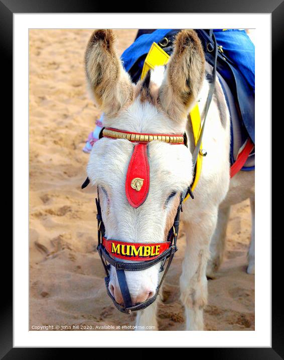 Beach Donkey at Skegness in Lincolnshire. Framed Mounted Print by john hill
