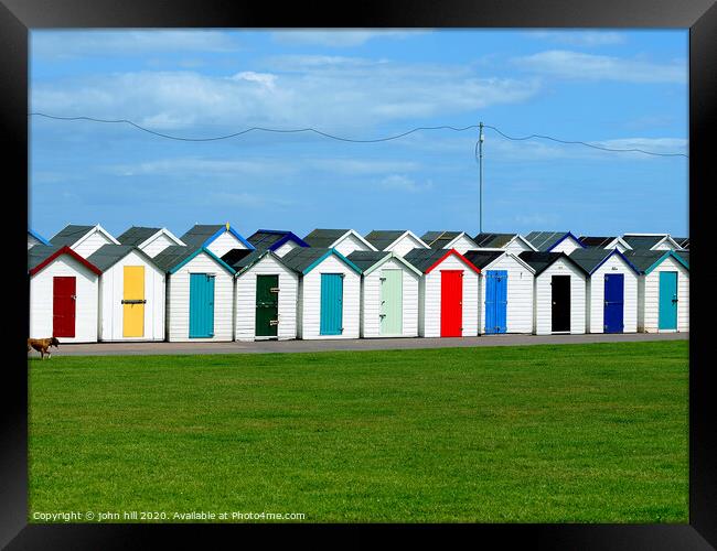 Back to back Beach huts at Paignton in Devon. Framed Print by john hill
