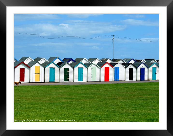 Back to back Beach huts at Paignton in Devon. Framed Mounted Print by john hill