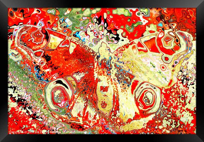 Abstract Butterfly. Framed Print by john hill