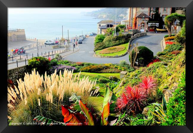 Ventnor Municipal Gardens on the Isle of Wight. Framed Print by john hill