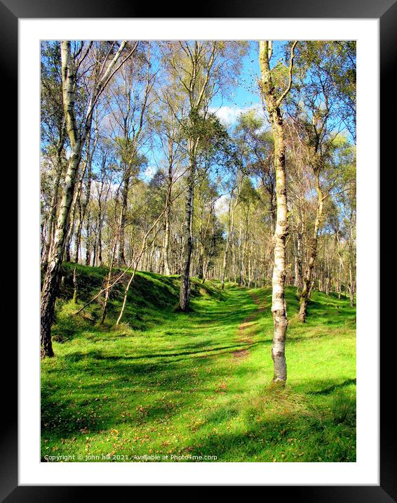 Bole Hill woods in Derbyshire. Framed Mounted Print by john hill