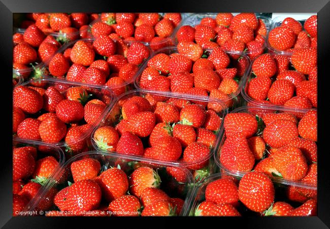 Strawberries Framed Print by john hill