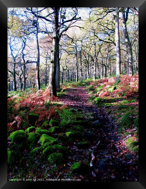 Woodland Footpath in Derbyshire. Framed Print by john hill