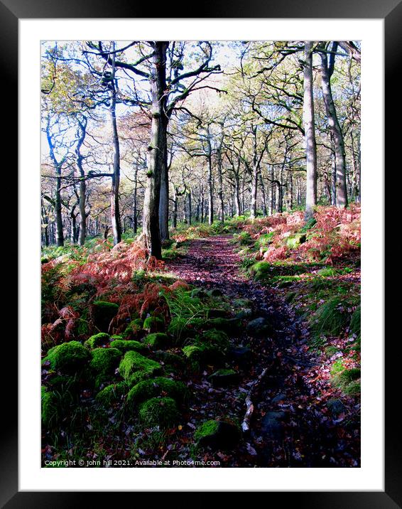 Woodland Footpath in Derbyshire. Framed Mounted Print by john hill