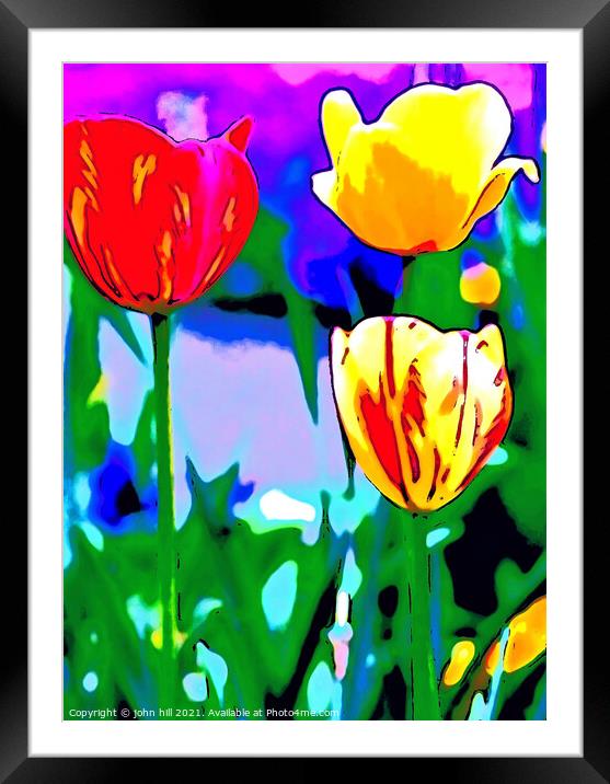 Abstract painting of Tulips Framed Mounted Print by john hill