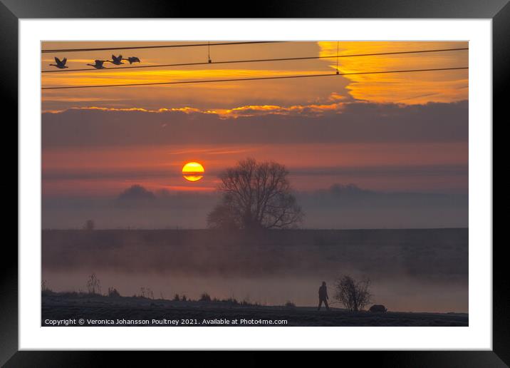 Sunrise in the Fens Framed Mounted Print by Veronica in the Fens