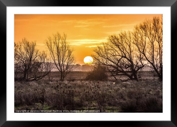 A sunrise over the Fens Framed Mounted Print by Veronica in the Fens