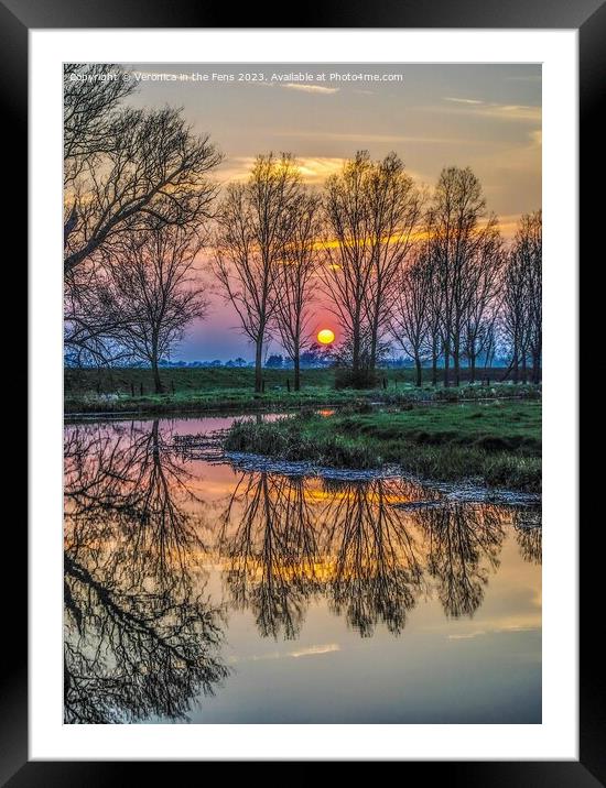 Sunset reflection with threes Framed Mounted Print by Veronica in the Fens