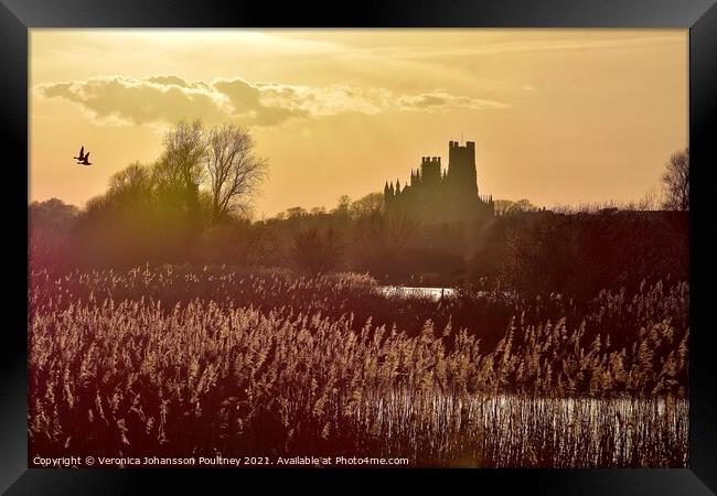 The Ship of the Fens - Ely Cathedral Framed Print by Veronica in the Fens
