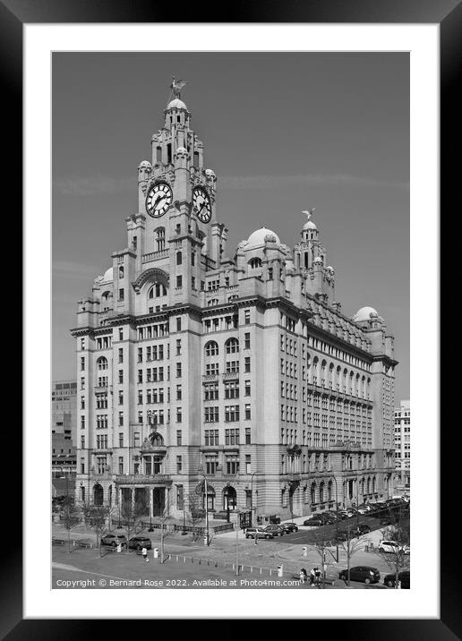 The Royal Liver Building Framed Mounted Print by Bernard Rose Photography