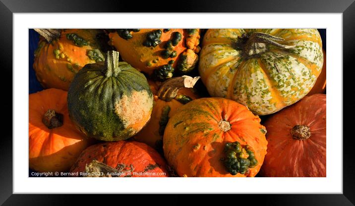 Pumpkin Display Framed Mounted Print by Bernard Rose Photography