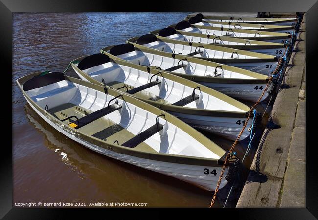 Chester Rowing Hire Boats Framed Print by Bernard Rose Photography
