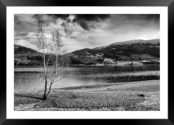 Lone Tree by the Lake Framed Mounted Print by Hannah Watson