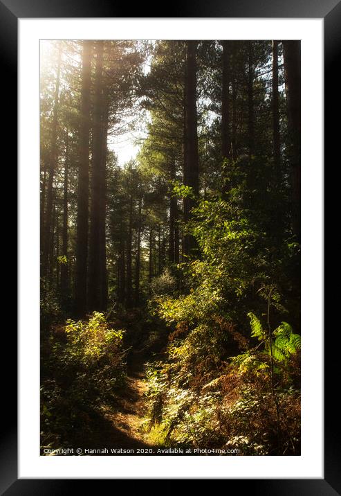Chopwell Woods Framed Mounted Print by Hannah Watson
