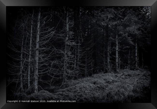 Dark Harwood Forest Framed Print by Hannah Watson