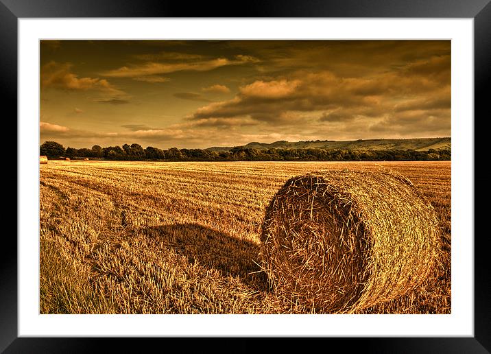 Straw bale in Susex Framed Mounted Print by Eddie Howland