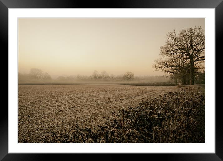 Into the Mist Framed Mounted Print by Eddie Howland