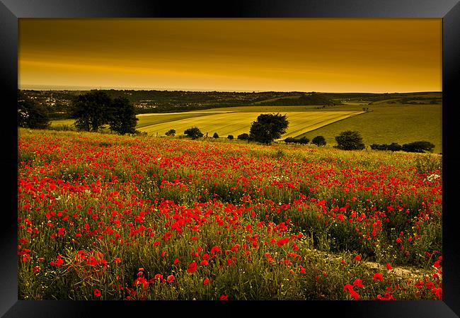 Sunset over poppies in Sussex Framed Print by Eddie Howland